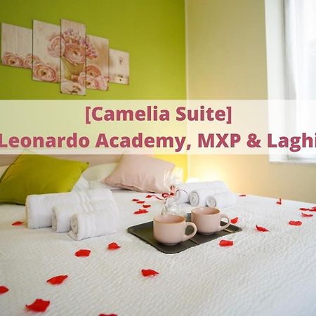 Camelia Suite Leonardo Academy, Mxp & Lakes 塞斯托卡伦代 外观 照片